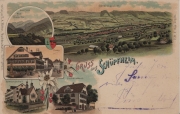 Schüpfheim, Gruss aus - farbige Litho - Adler, Kreuz, Armenanstalt, Buchdruckerei, Generalansicht