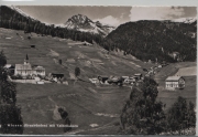 Wiesen mit Valbellahorn (Graubünden)